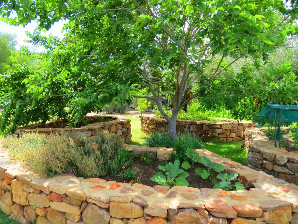 Olive Grove Pip Apartment Prince Albert Exterior photo